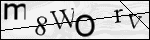Human Confirmation Code (Captcha)